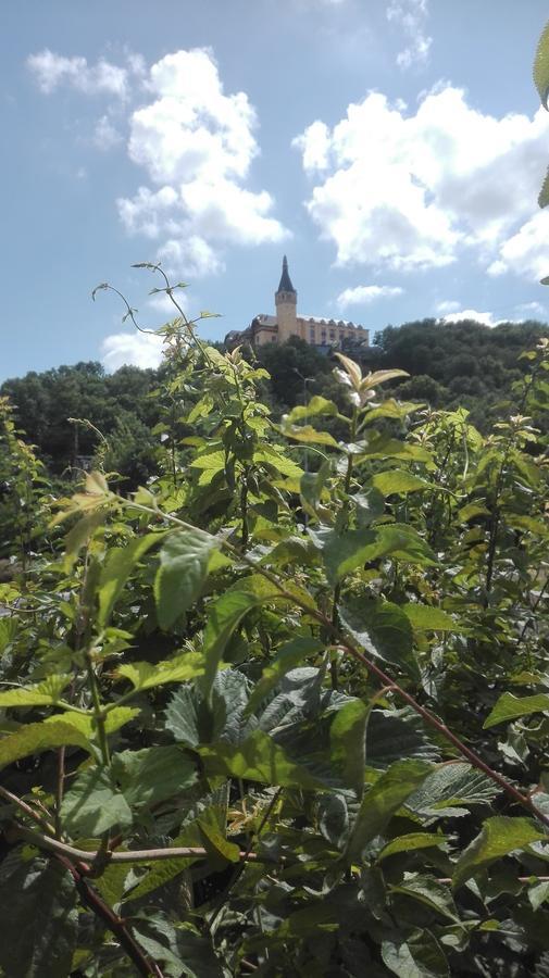 شقة Lucka Ústí nad Labem المظهر الخارجي الصورة